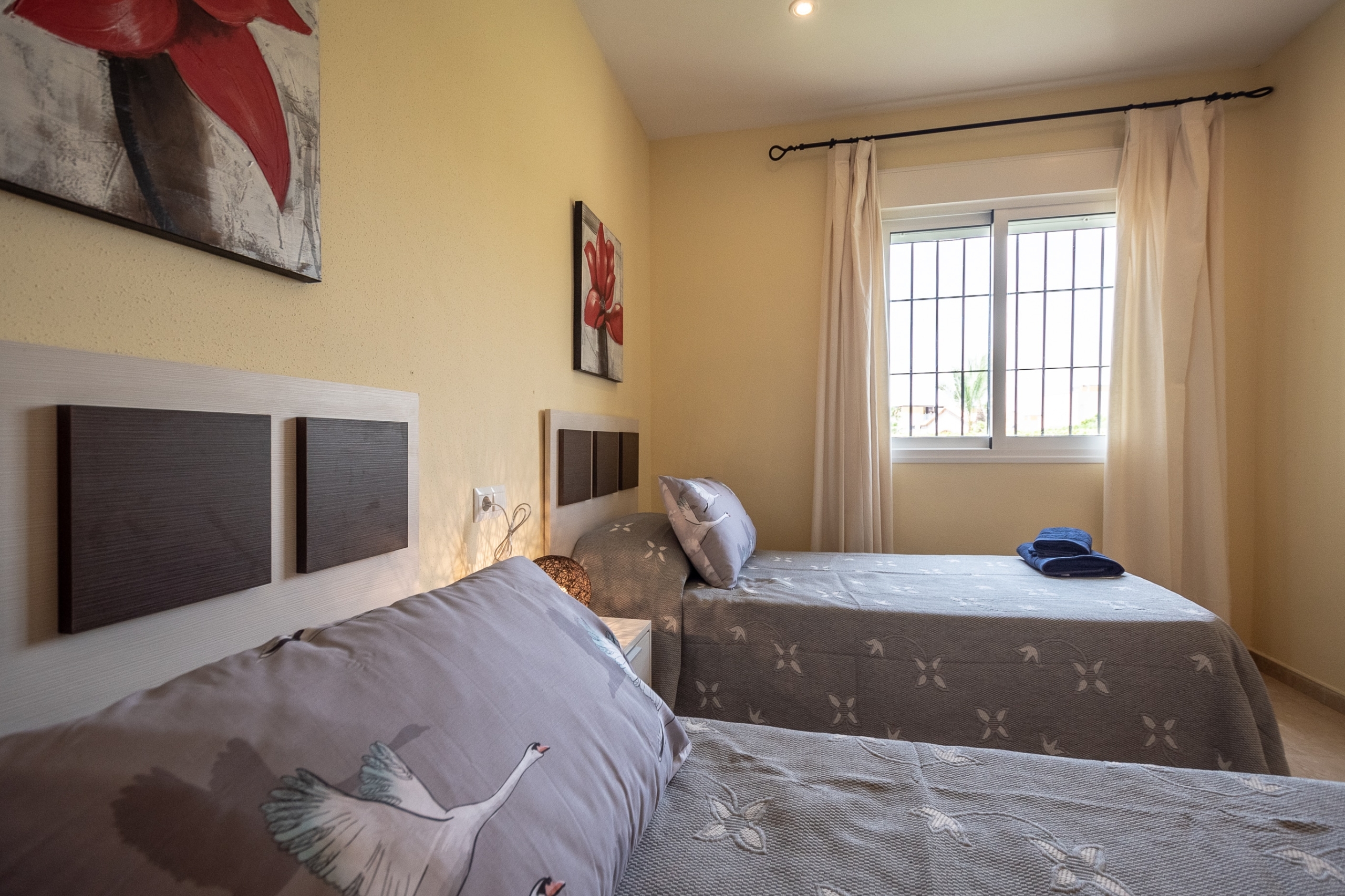 04612R-spex-image-31