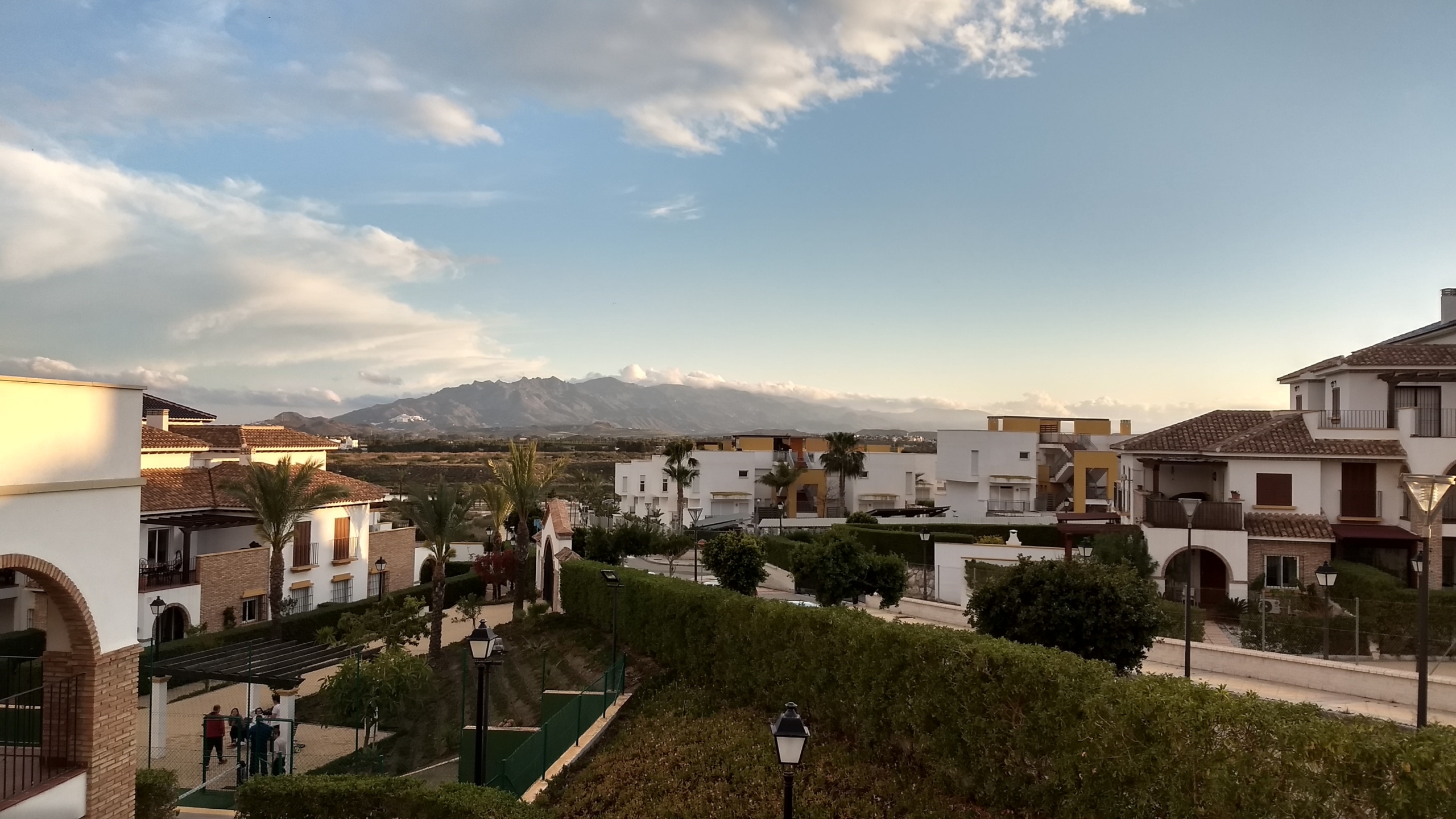 04612R-spex-image-49