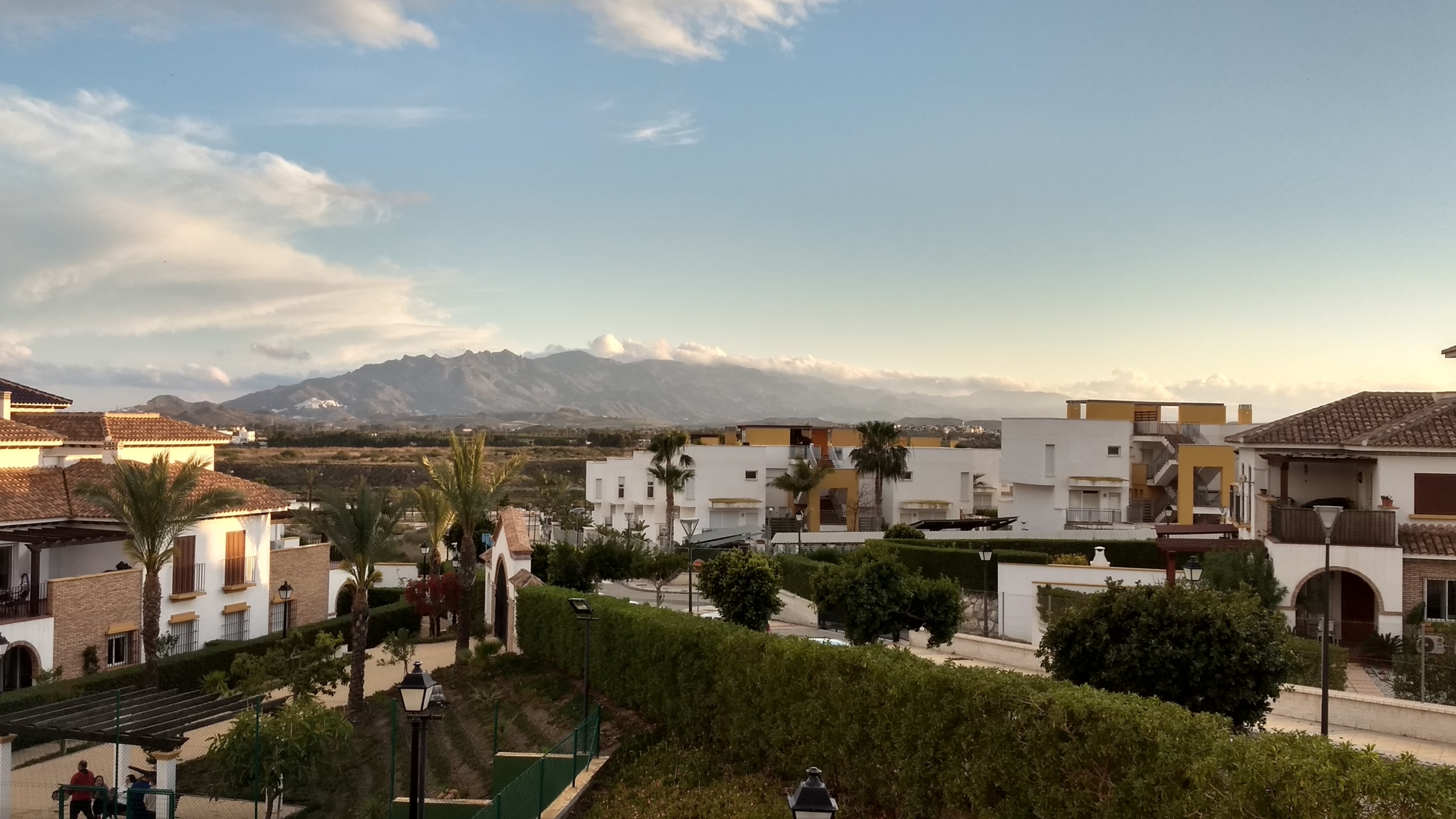 04612R-spex-image-50