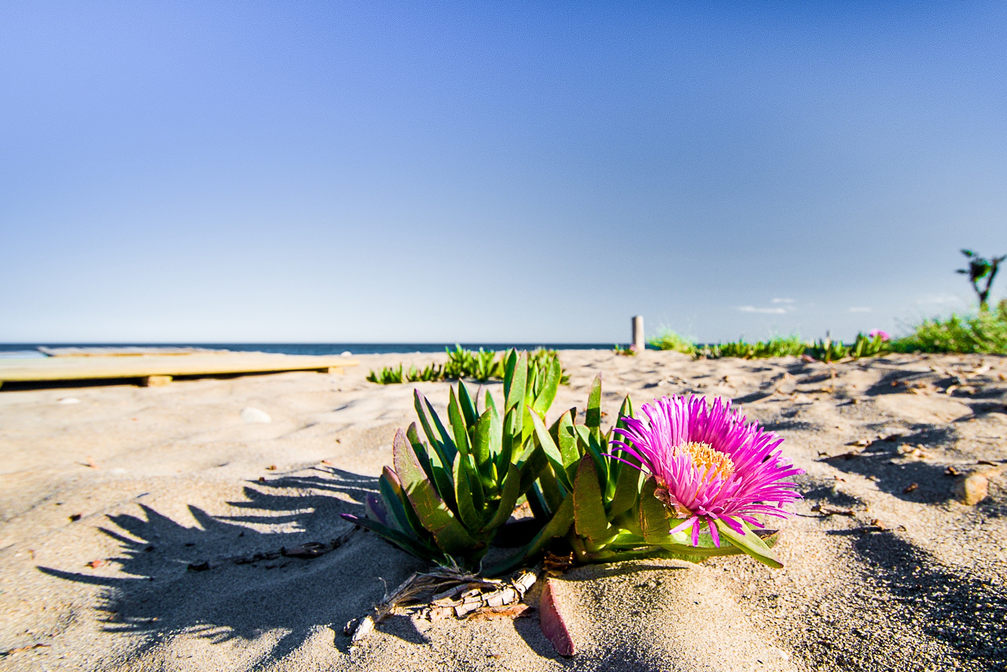 04612R-spex-image-60