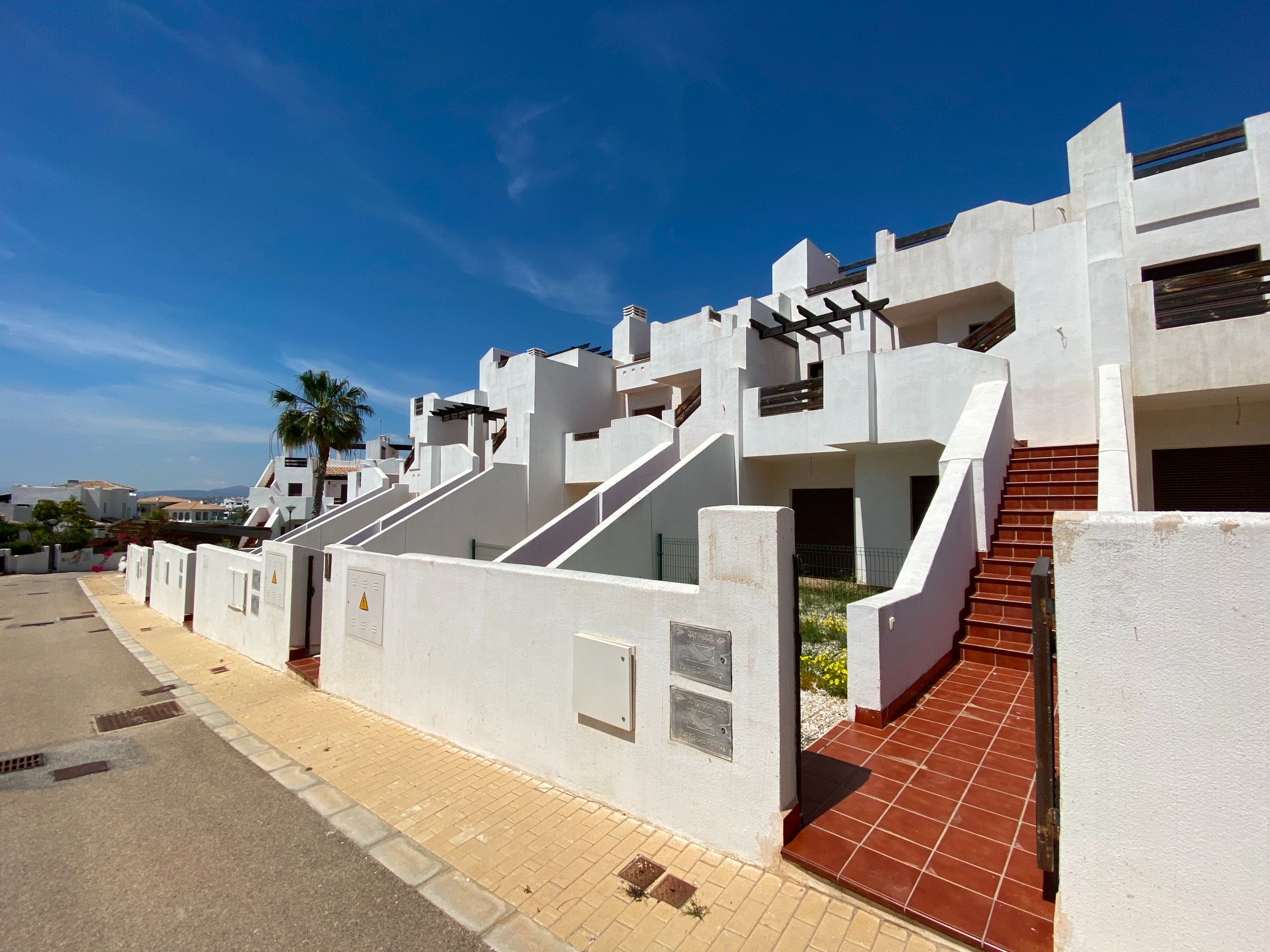 24415741-spex-image-1