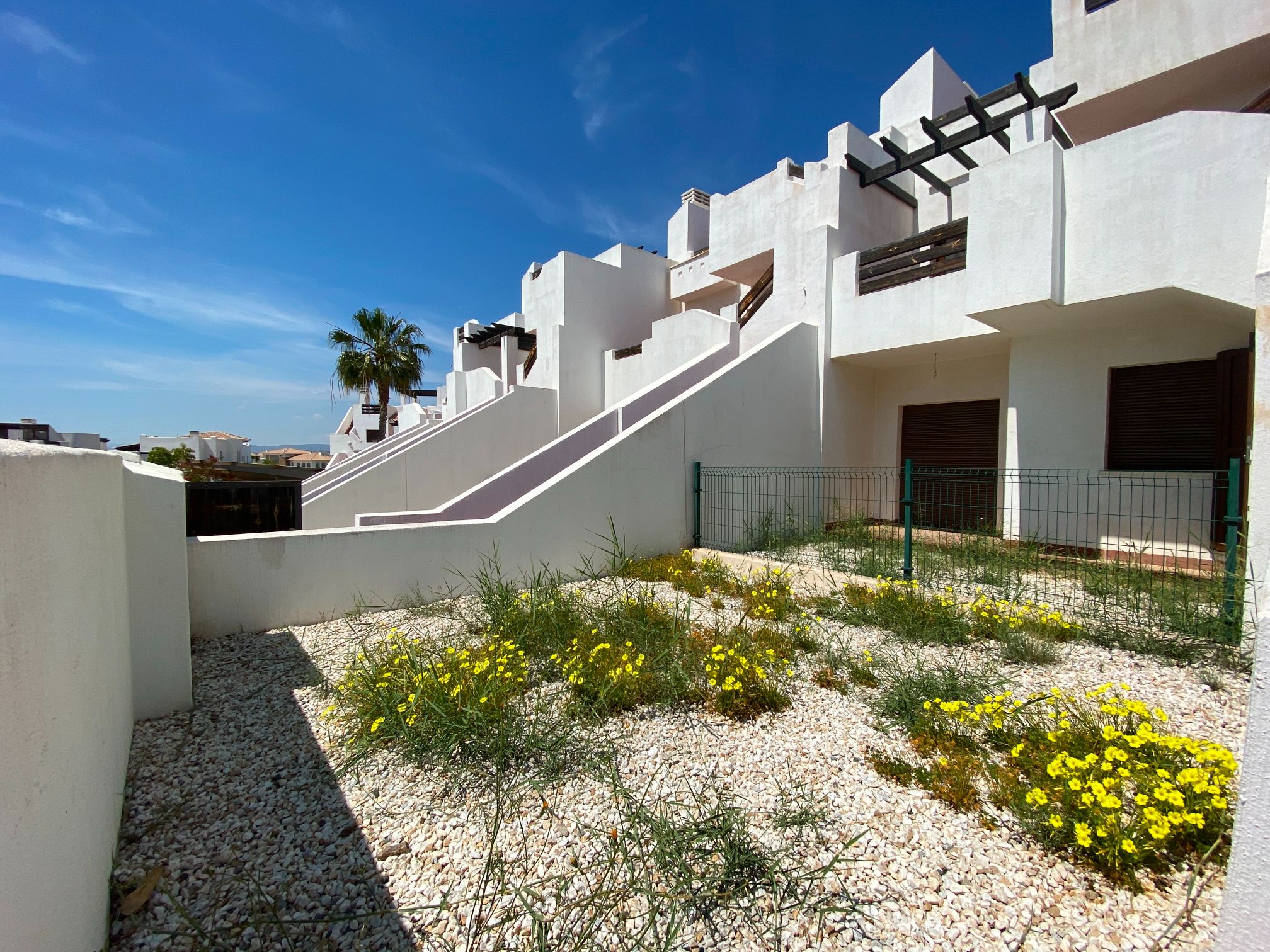 24415741-spex-image-2