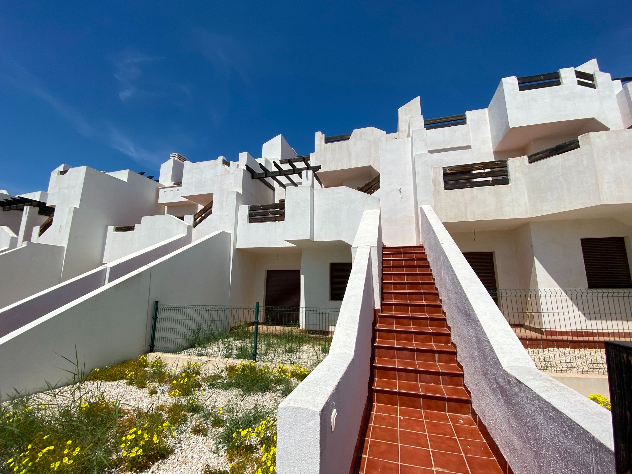 24415741-spex-image-3