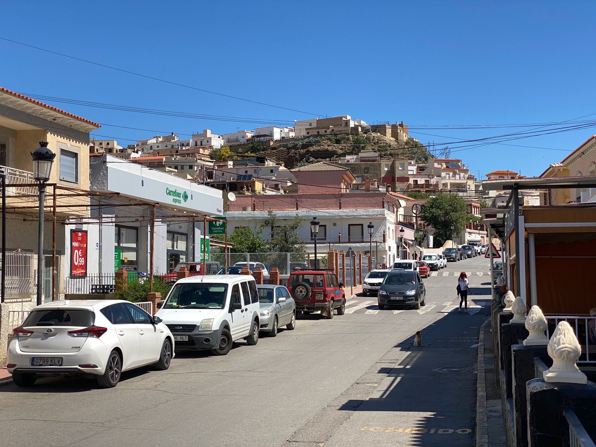 25256-spex-image-100