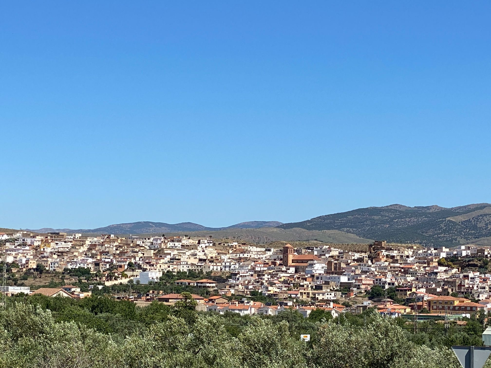 25256-spex-image-101