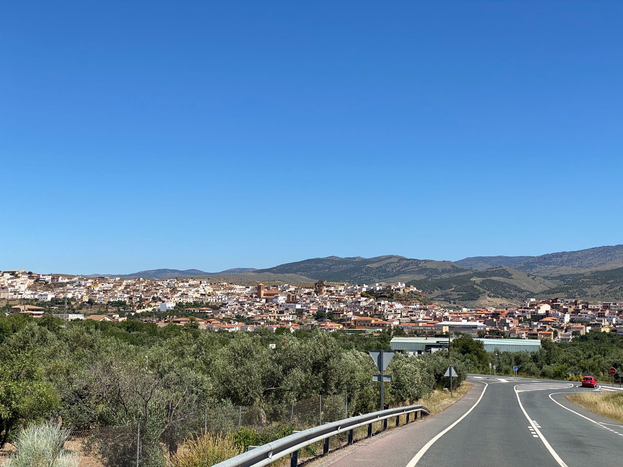 25256-spex-image-102