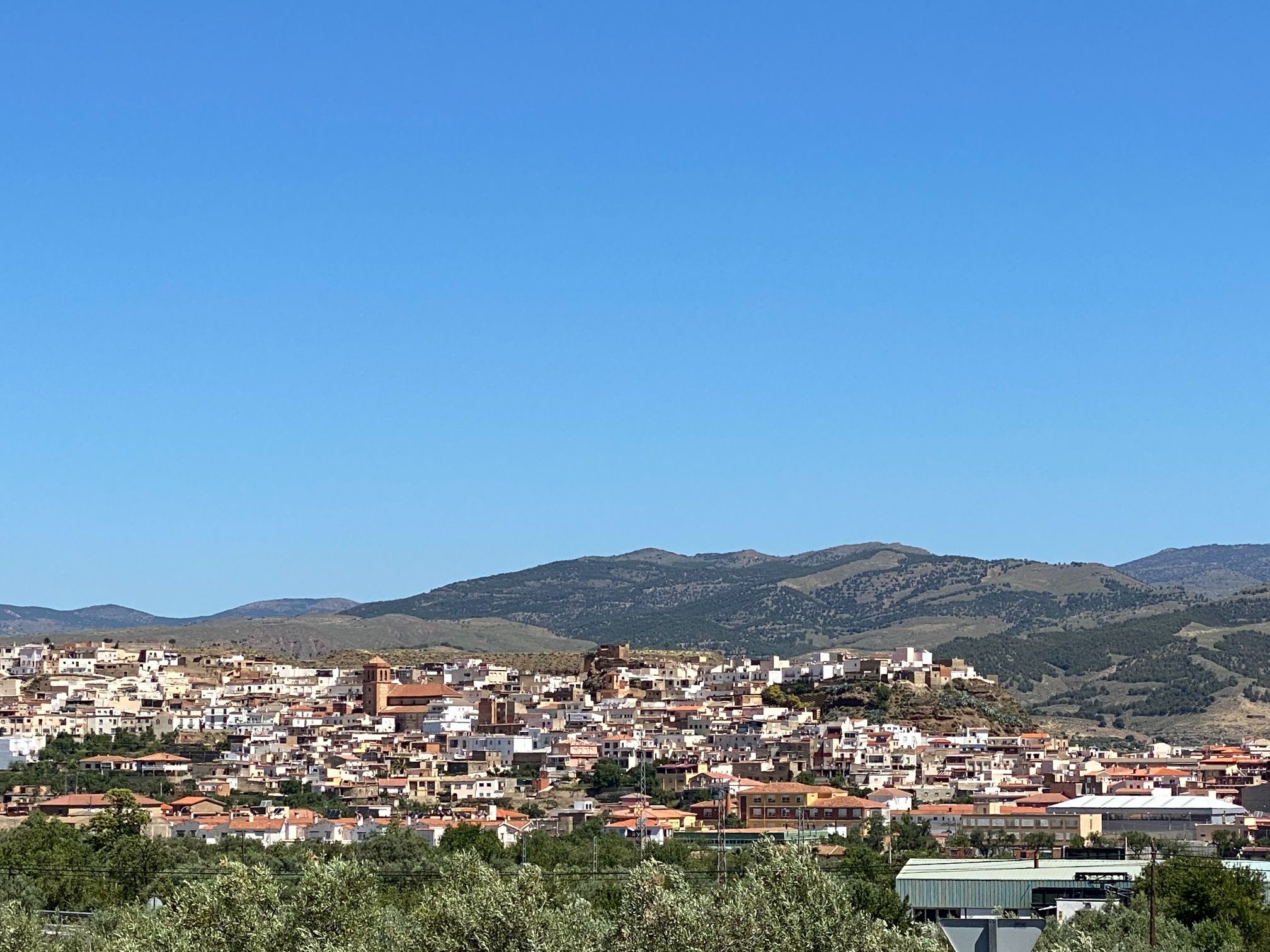 25256-spex-image-103