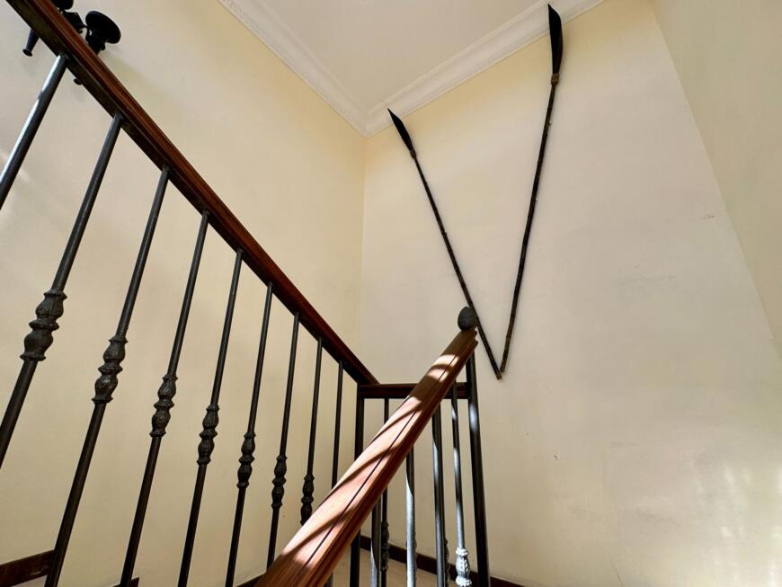 44402-spex-image-111