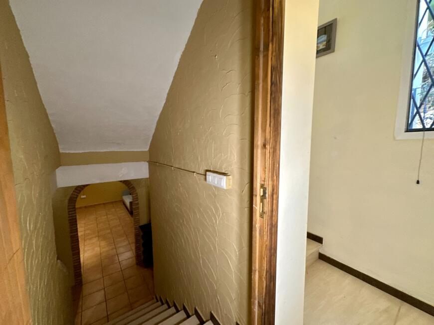 44402-spex-image-115