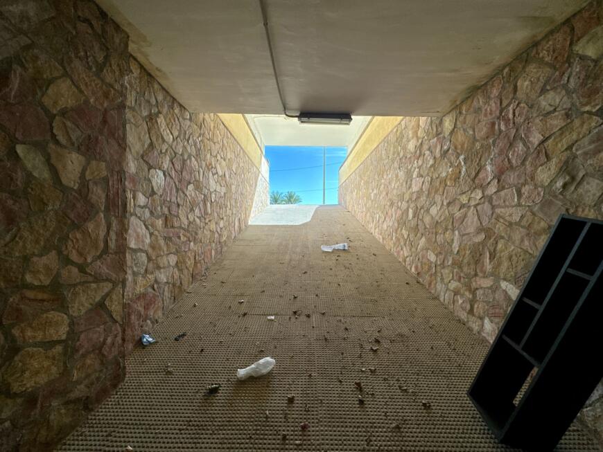 44402-spex-image-168