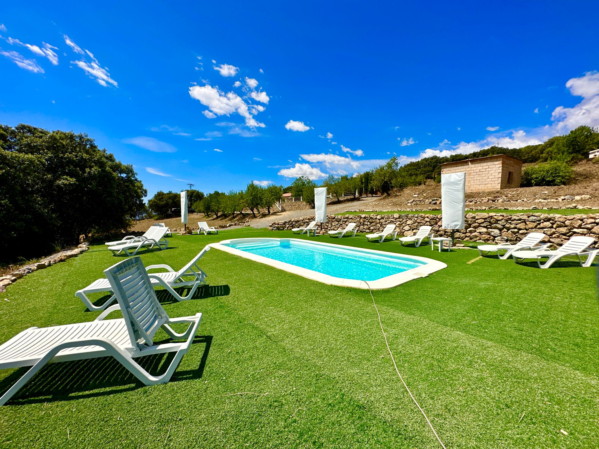 45134-spex-image-104