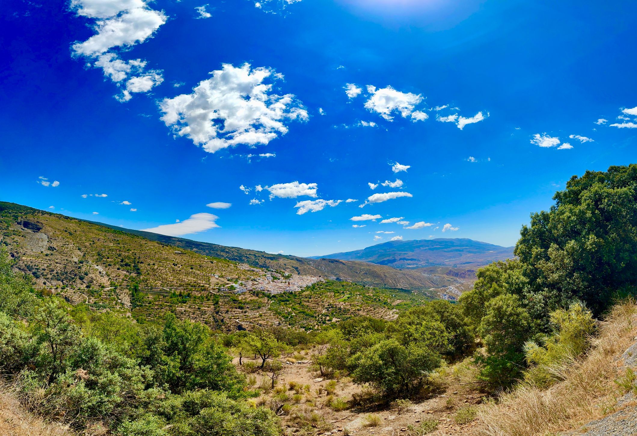 45134-spex-image-112