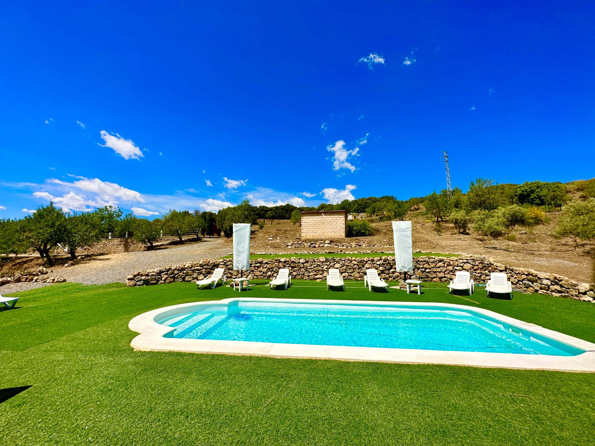 45134-spex-image-113