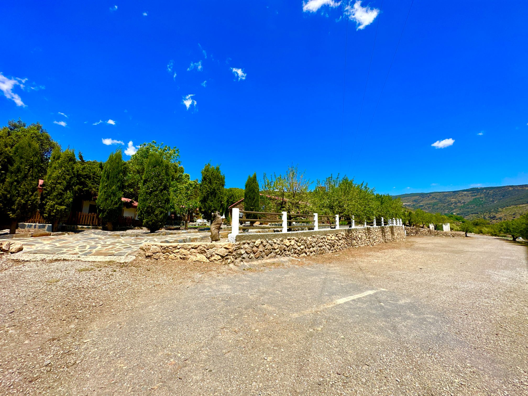 45134-spex-image-116