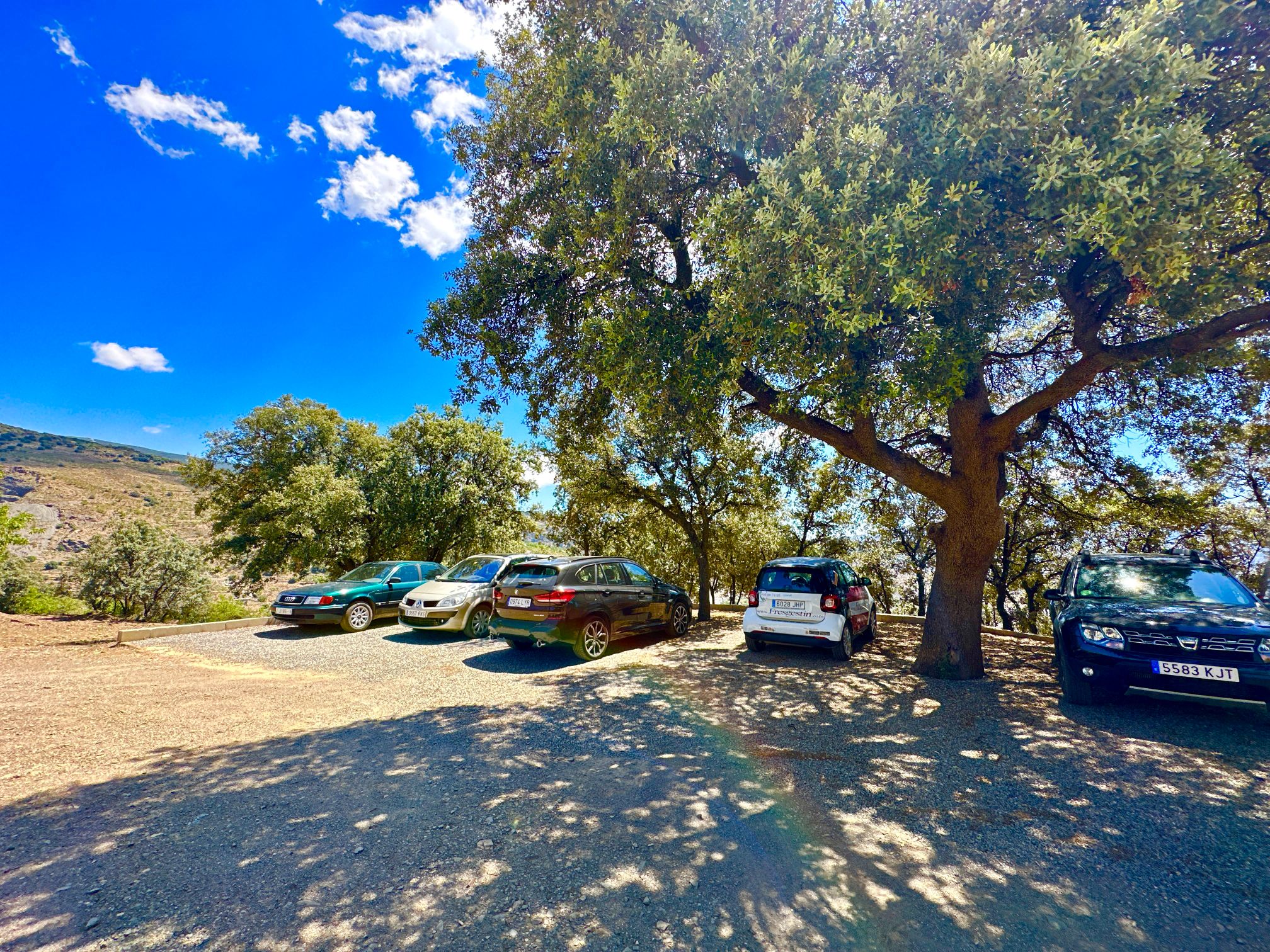 45134-spex-image-118