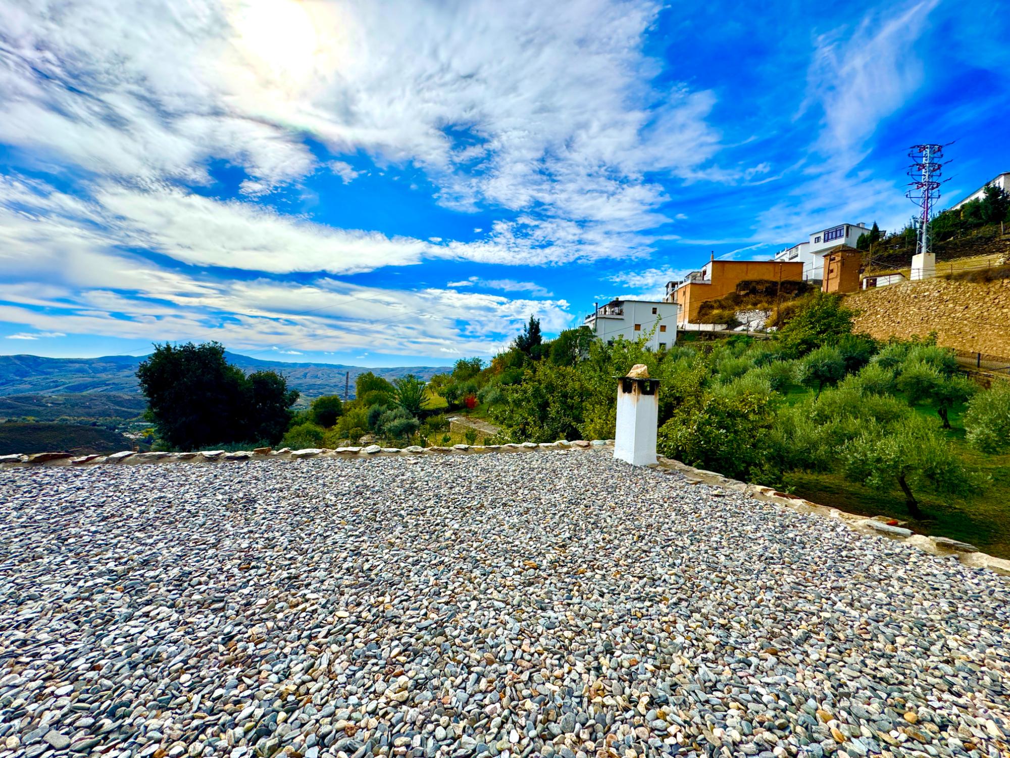 47209-spex-image-101