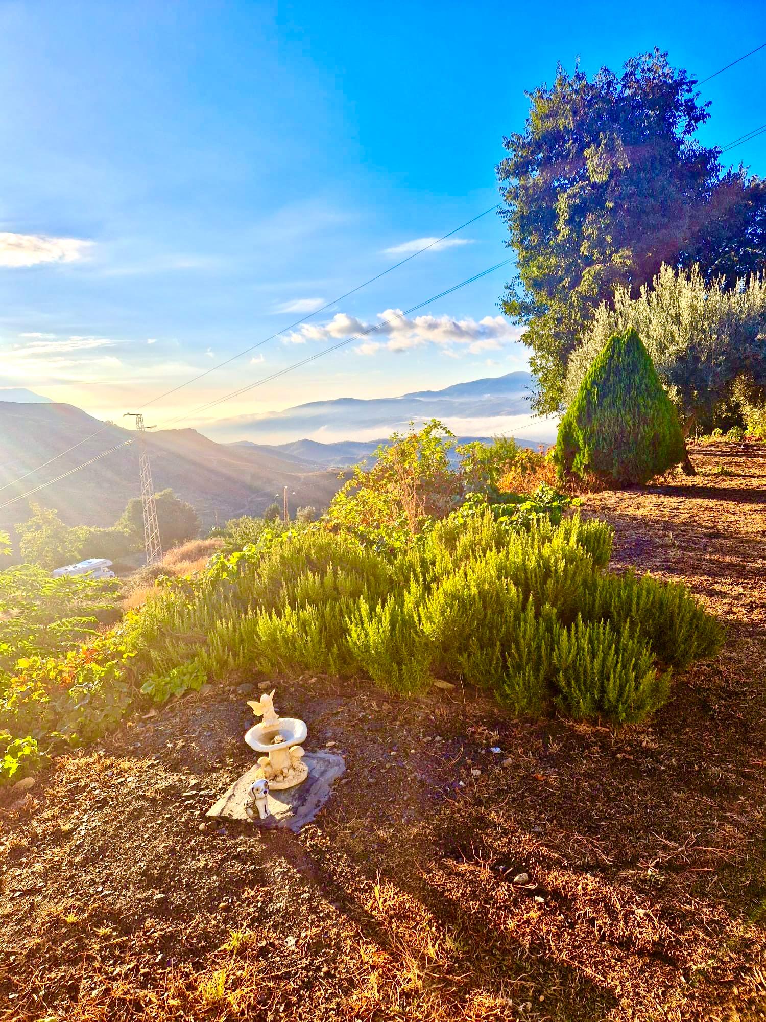 47209-spex-image-116