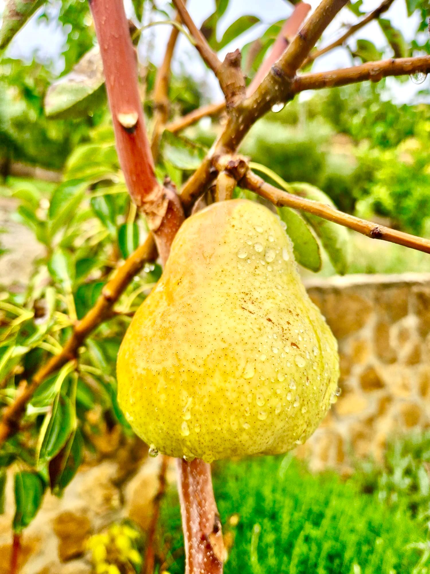 47209-spex-image-117