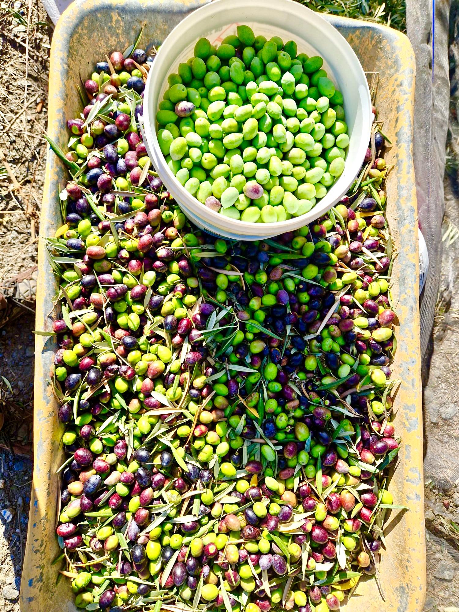 47209-spex-image-120