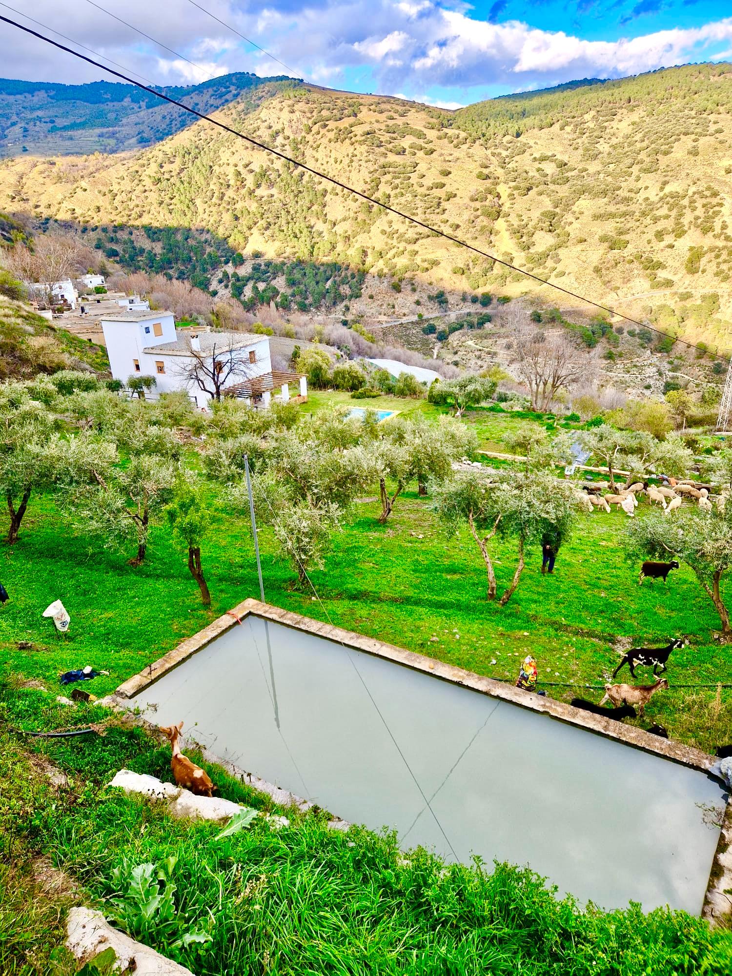 47209-spex-image-125